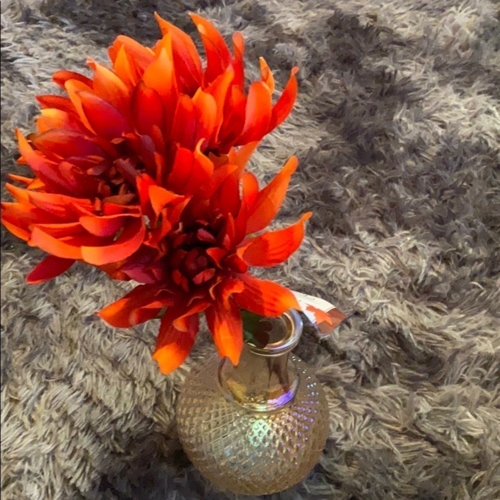 Holographic vase - Picture 6 of 15